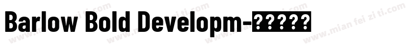 Barlow Bold Developm字体转换